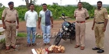 ಅಕ್ರಮ ಶ್ರೀಗಂಧ ಸಾಗಾಣೆ: ಇಬ್ಬರ ಬಂಧನ