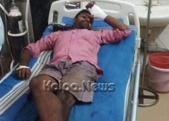 ಸಾಗರ: ಹಾವು ಕಚ್ಚಿ ಯುವಕ ಆಸ್ಪತ್ರೆಗೆ ದಾಖಲು