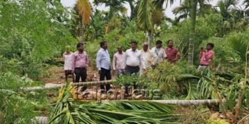 ಭಾರಿ ಗಾಳಿ, ಮಳೆಗೆ ಬೆಳೆ ನಾಶ: ತೋಟಗಾರಿಕೆ ಮತ್ತು ಕೃಷಿ ಅಧಿಕಾರಿಗಳ ಜಂಟಿ ಪರಿಶೀಲನೆ