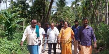 ಭದ್ರಾವತಿ: ಅಕಾಲಿಕ ಮಳೆ ಹಾನಿ ಜಮೀನಿಗೆ ಪವಿತ್ರ ರಾಮಯ್ಯ ಭೇಟಿ
