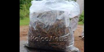 ಅಕ್ರಮ ಗಾಂಜಾ ಮಾರಾಟ: ಇಬ್ಬರ ಬಂಧನ