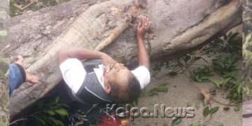 ಹಾಸನದಲ್ಲಿ ಚಲಿಸುತ್ತಿದ್ದ ಬೈಕ್ ಮೇಲೆ ಬಿದ್ದ ಮರ, ನರಳಾಡಿ ಪ್ರಾಣ ಬಿಟ್ಟ ಸವಾರ