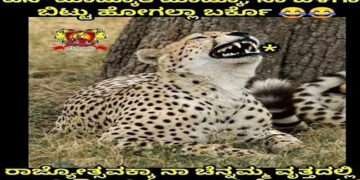 ಚೆನ್ನಮ್ಮ ಸರ್ಕಲ್’ನಲ್ಲಿ ಓಡಾಡಿ ಹೋಗೋವ! ಸೋಷಿಯಲ್ ಮೀಡಿಯಾದಲ್ಲಿ ಚಿರತೆ ಬಗ್ಗೆ ಸಖತ್ ಮೀಮ್ಸ್