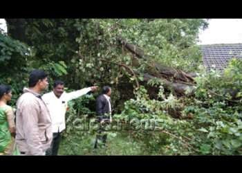 ಸೊರಬ: ಬಿರುಸಿನ ಗಾಳಿ ಮಳೆಗೆ ಅಂಗನವಾಡಿ ಕೇಂದ್ರದ ಮೇಲೆ ಉರುಳಿದ ಮರ