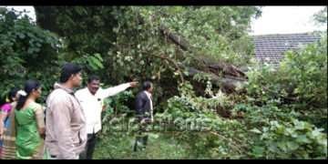 ಸೊರಬ: ಬಿರುಸಿನ ಗಾಳಿ ಮಳೆಗೆ ಅಂಗನವಾಡಿ ಕೇಂದ್ರದ ಮೇಲೆ ಉರುಳಿದ ಮರ