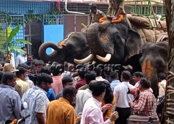 ದಸರಾ ತಾಲೀಮಿಗಾಗಿ ಆಗಮಿಸಿದ ಆನೆಗಳಿಗೆ ವಿಷೇಷ ಪೂಜೆ