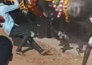 ಹೋರಿ ಓಡಿಸುವ ಆಟ: ಇಬ್ಬರು ಯುವಕರು ಬಲಿ