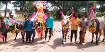 ಚಂದ್ರಗುತ್ತಿ: ವೈಶಿಷ್ಟ ಪೂರ್ಣ ಬಲಿಪಾಡ್ಯಮಿ ಆಚರಣೆ