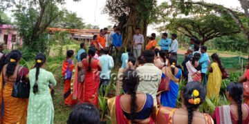 ಜೇನುಕೃಷಿಯಿಂದ ಆರ್ಥಿಕ ಸದೃಢತೆ ಸಾಧನೆ ಸಾಧ್ಯ: ಜೇನು ಕೃಷಿಕ ಗೌತಮ ಬಿಚ್ಚುಗತ್ತಿ