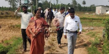 ದೊಡ್ಡಮಘಟ್ಟ ಗ್ರಾಪಂ ವ್ಯಾಪ್ತಿಯ ರಸ್ತೆಗಳ ಅಭಿವೃದ್ಧಿಗೆ ಕ್ರಮ: ಪವಿತ್ರಾ ರಾಮಯ್ಯ