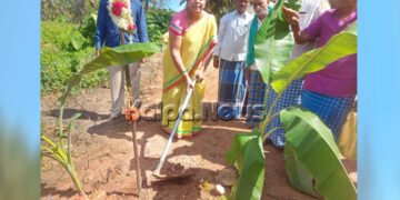 ಅತ್ತಿಗುಂದ ಗ್ರಾಮದ ರೈತರ ಅಚ್ಚುಕಟ್ಟು ರಸ್ತೆಗೆ ಕಾಡಾ ಅಧ್ಯಕ್ಷೆ ಪವಿತ್ರಾ ರಾಮಯ್ಯ ಗುದ್ದಲಿ ಪೂಜೆ
