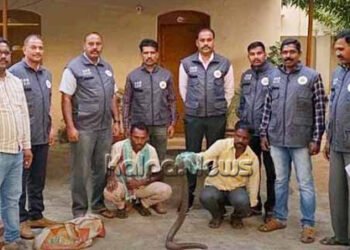 ಬೃಹತ್ ಗಾತ್ರದ ಎರಡು ತಲೆ ಹಾವಿನ ಅಕ್ರಮ ಸಾಗಾಟ: ಇಬ್ಬರ ಬಂಧನ