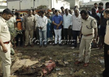 ಮೈಸೂರಿನ ಕೆಸಿ ಬಡಾವಣೆಯಲ್ಲಿ ಚಿರತೆ ದಾಳಿಗೆ ಕರು ಬಲಿ: ಸ್ಥಳೀಯರಲ್ಲಿ ಆತಂಕ