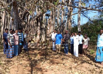 ಬರಿಗೆ – ಹಲಸಿನಕೊಪ್ಪ- ಕ್ಯಾಸನೂರು ಗ್ರಾಮಗಳಲ್ಲಿ ಭೂಕಬಳಿಕೆ ಹಿನ್ನೆಲೆ ಕ್ರಮಕ್ಕೆ ಆಗ್ರಹ