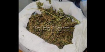 ಅಕ್ರಮ ಗಾಂಜಾ ಮಾರಾಟ ಓರ್ವನ ಬಂಧನ