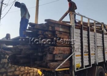 ಅಕ್ರಮ ನಾಟ ಸಾಗಟ ಪತ್ತೆ ಹಚ್ಚಿದ ಎಸಿಎಫ್ ಪ್ರವೀಣ್ ಕುಮಾರ್ ಬಸ್ರೂರ್: ಸಾರ್ವಜನಿಕರಿಂದ ಪ್ರಶಂಸೆ