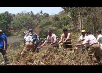 ಚಂದ್ರಗುತ್ತಿ: ಕೆರೆ ಸ್ವಚ್ಚತಾ ಕಾರ್ಯ ನಡೆಸಿ ಮರು ಕಾಯಕಲ್ಪಕ್ಕೆ ಮುಂದಾದ ಗ್ರಾಮಸ್ಥರು