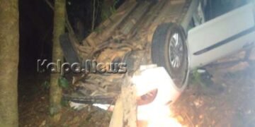 ನೂರು ಅಡಿ ಆಳದ ಪ್ರಪಾತಕ್ಕೆ ಬಿದ್ದ ಕಾರು: ಒಬ್ಬರ ಸಾವು, ಐವರು ಪಾರು