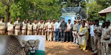 ಮನೆಯ ಕೊಟ್ಟಿಗೆಯಲ್ಲಿ ಅಡಗಿದ್ದ ಚಿರತೆ ಸೆರೆ: ಹೇಗಿತ್ತು ಕಾರ್ಯಾಚರಣೆ?