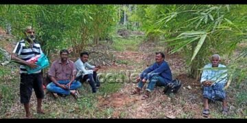 ಏರುತ್ತಿರುವ ಉಷ್ಣತೆಯಿಂದ ಅಡಿಕೆ ಬೆಳೆಗೆ ಕುತ್ತು: ಪರ್ಯಾಯ ಕೃಷಿಯತ್ತ ಮಲೆನಾಡ ರೈತರ ಚಿತ್ತ