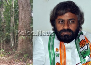 ಅರಣ್ಯ ಭೂಮಿ ಖಾಸಗಿಯವರ ಪಾಲಾಗುವುದು ಬೇಡ