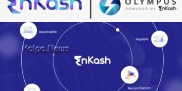 EnKash is unlocking 100% accuracy in accounting, auditing processes for businesses through its new platform Olympus