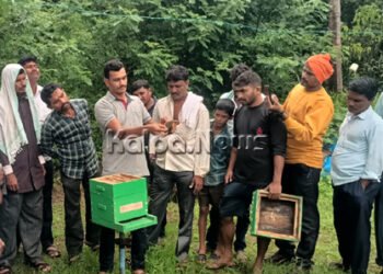 ಕೃಷಿಗೆ ಸಹಕಾರಿ ಆಗಿರುವ ಜೇನು ಅಭಿವೃದ್ಧಿಗೆ ಮುಂದಾಗಬೇಕು: ಗೌತಮ್ ಬಿಚ್ಚುಗತ್ತಿ ಸಲಹೆ