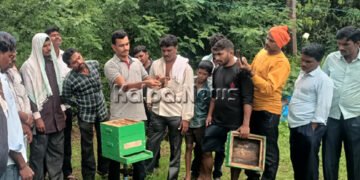 ಕೃಷಿಗೆ ಸಹಕಾರಿ ಆಗಿರುವ ಜೇನು ಅಭಿವೃದ್ಧಿಗೆ ಮುಂದಾಗಬೇಕು: ಗೌತಮ್ ಬಿಚ್ಚುಗತ್ತಿ ಸಲಹೆ