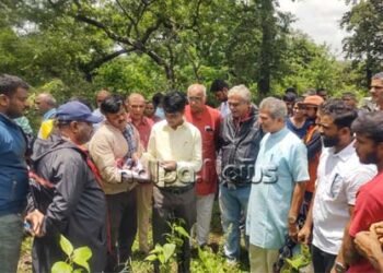 ರಾಜ್ಯಕ್ಕೆ ಮಾದರಿಯಾಗಬೇಕಾದ ಹಲಸಿನಕೊಪ್ಪ ಗ್ರಾಮಸ್ಥರ ಅರಣ್ಯದಲ್ಲಿ ವೃಕ್ಷಾರೋಪಣ