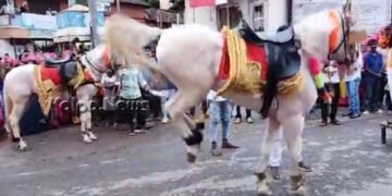 ಶೋಭಾಯಾತ್ರೆಯಲ್ಲಿ ಕುದುರೆಗಳ ನೃತ್ಯಕ್ಕೆ ಜನರು ಫುಲ್ ಫಿದಾ: ವೀಡಿಯೋ ನೋಡಿ