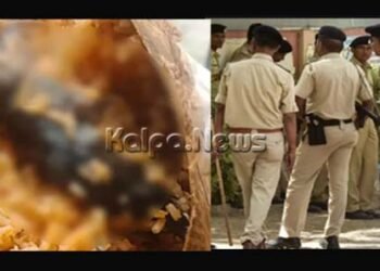 ಬೆಂಗಳೂರು ಬಂದ್ | ರಕ್ಷಣೆಗೆ ನಿಯೋಜನೆಗೊಂಡಿದ್ದ ಆರಕ್ಷಕರ ಆಹಾರದಲ್ಲಿ ಸತ್ತ ಇಲಿ