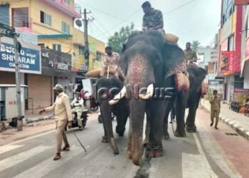 ದಸರಾ ಜಂಬೂ ಸವಾರಿ: ಮೆರವಣಿಗೆ ಸಾಗುವ ಮಾರ್ಗದಲ್ಲಿ ಆನೆಗಳ ತಾಲೀಮು