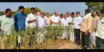 ಫಲ ನೀಡಬೇಕಿದ್ದ ಬೆಳೆ ಕೈಕೊಟ್ಟಿದೆ: ಮಾಜಿ ಸಚಿವ ಬಂಡೆಪ್ಪ ಖಾಶೆಂಪುರ್ ಬೇಸರ