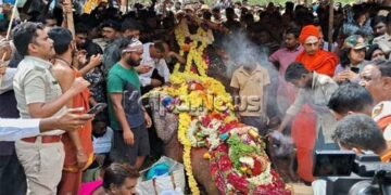 ಅಧಿಕಾರಿಗಳ ತಪ್ಪು ನಿರ್ಧಾರ? ಅರ್ಜುನನ ಸಾವಿಗೆ ಮಿಸ್ ಫೈರ್ ಕಾರಣವಾಯ್ತಾ?