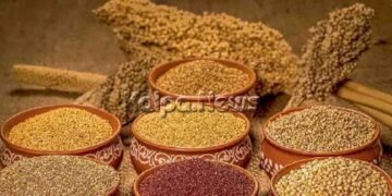 ಜ.5 ರಿಂದ ಜ.7 ಬೆಂಗಳೂರಿನಲ್ಲಿ ಅಂತಾರಾಷ್ಟ್ರೀಯ ಸಿರಿಧಾನ್ಯ, ಸಾವಯವ ವಾಣಿಜ್ಯ ಮೇಳ