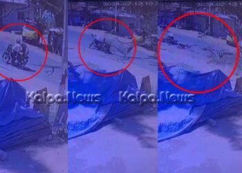 ಶಿವಮೊಗ್ಗ | ಚಲಿಸುತ್ತಿದ್ದ ಬೈಕ್ ಮೇಲೆ ಬಿದ್ದ ಮರ | ಮೂವರಿಗೆ ಗಾಯ