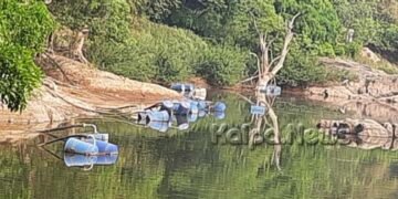 ತೀರ್ಥಹಳ್ಳಿ: ಅವಸಾನದ ಅಂಚಿನತ್ತ ಅಪರೂಪದ ಚಿಬ್ಬಲಗುಡ್ಡೆ ಮತ್ಸ್ಯಧಾಮ