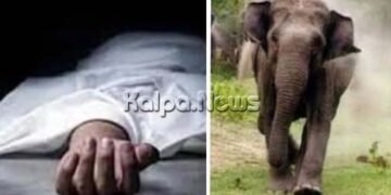 ಒಂಟಿ ಸಲಗ ದಾಳಿ | ತಮಿಳುನಾಡು ಮೂಲದ ಕಾರ್ಮಿಕ ಮಲೆನಾಡಲ್ಲಿ ದಾರುಣ ಸಾವು