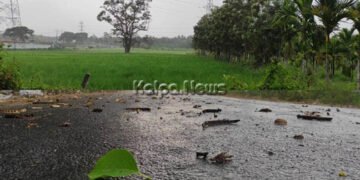 ಭದ್ರಾವತಿಯಲ್ಲಿ ವರ್ಷದ ಮೊದಲ ಮಳೆಯ ಸಿಂಚನ | ತಂಪನೆರೆದರೂ ಬಿಡದ ಸೆಖೆ