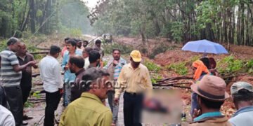 ತೀರ್ಥಹಳ್ಳಿ | ತಾಲೂಕಿನಲ್ಲಿ ಭಾರೀ ಮಳೆಗೆ ಮೊದಲ ಬಲಿ