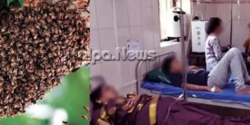 ಭದ್ರಾವತಿ | ಗಂಗೆ ಪೂಜೆ ವೇಳೆ ಹೆಜ್ಜೇನು ದಾಳಿ | ಜೀವ ಒತ್ತೆ ಇಟ್ಟು ಮಗುವನ್ನು ರಕ್ಷಿಸಿದ ಬಾಲಕ