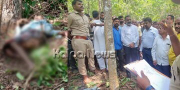 ಹೊಸನಗರ: ಕಾಡಾನೆ ದಾಳಿಗೆ ವ್ಯಕ್ತಿ ಬಲಿ