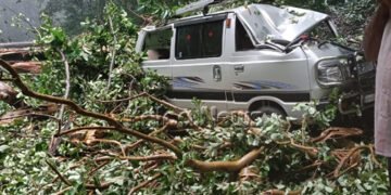 ಆಗುಂಬೆ ಘಾಟಿಯಲ್ಲಿ ಓಮಿನಿ ಕಾರ್ ಮೇಲೆ ಬಿದ್ದ ಮರ | ಕೂದಲೆಳೆ ಅಂತರದಲ್ಲಿ ತಪ್ಪಿದ ಅನಾಹುತ