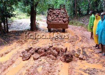 ಹೊಸನಗರ | ಕೆಸರುಗದ್ದೆಯಾದ ಹರಿಮನೆ ರಸ್ತೆ | ಜನರಿಂದಲೇ ತಾತ್ಕಾಲಿಕ ರಿಪೇರಿ