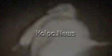 ಕುಕ್ಕೆ ಸುಬ್ರಹ್ಮಣ್ಯ | ಕುಮಾರಧಾರಾ ನದಿಯಲ್ಲಿ ತೇಲಿಬಂತಾ ಆನೆಯ ಮೃತದೇಹ?