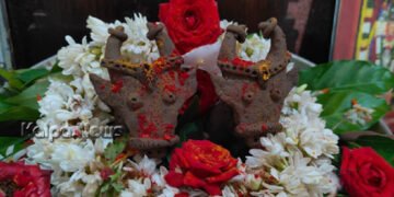 ಉಳುವ ಬಸವನಿಗೆ ಕೃತಜ್ಞತೆ ಸಲ್ಲಿಸುವ ಮಣ್ಣೆತ್ತಿನ ಅಮಾವಾಸ್ಯೆ | ಕೃಷಿಕರ ಪಾಲಿನ ದೈವ-ಜೋಡೆತ್ತುಗಳಿಗೆ ಗೌರವ