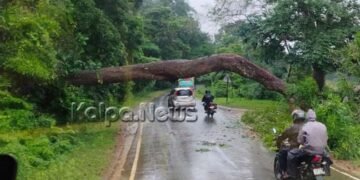 ಸೊರಬ | ರಣ ಮಳೆ | ರಸ್ತೆಗೆ ಉರುಳಿದ ಬೃಹತ್ ಮರ | ಸಂಚಾರ ಅಸ್ತವ್ಯಸ್ತ |