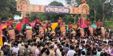 ಮೈಸೂರಿನತ್ತ ಹೆಜ್ಜೆ ಹಾಕಿದ ಗಜಪಡೆ | ನಾಡಹಬ್ಬಕ್ಕೆ ಆಗಮಿಸುವ ಆನೆಗಳ ವಿವರ ಇಲ್ಲಿದೆ