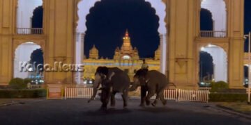 ಮೈಸೂರು ಅರಮನೆ | ದಸರಾ 2 ಆನೆಗಳ ಕಾದಾಟ | ಬೀದಿಯಲ್ಲಿ ಓಡಿದ ಗಜ | ಬೆಚ್ಚಿದ ಜನ