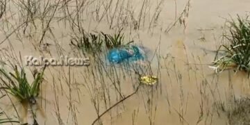 ತೀರ್ಥಹಳ್ಳಿ | ತುಂಗಾ ನದಿಗೆ ಹಾರಿ ವೃದ್ದೆ ಸಾವು!